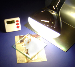 UV Curing Light